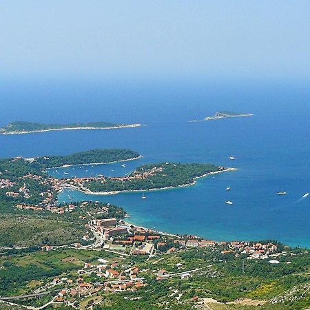 Fenix Two Bedroom Apartments Cavtat Bagian luar foto